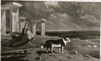Daniell William SHEPHERD'S DOG